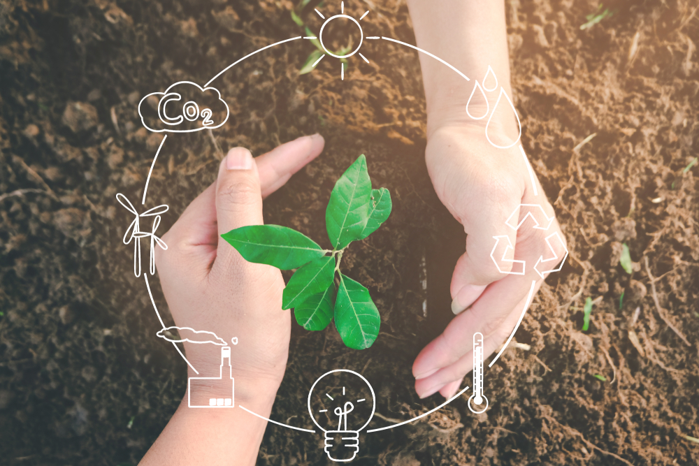 Eko, ekoloji, doğa, çevre, anksiyete, psikoloji, rahatsızlık