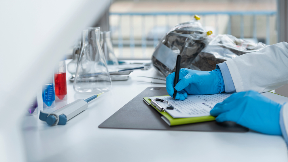 organik, ürün, üretim, sertifika, tarla, gıda