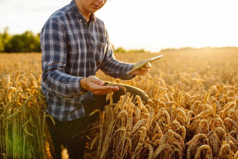 Agroekoloji, ekoloji, tarım, dünya, gelecek, sürdürülebilirlik