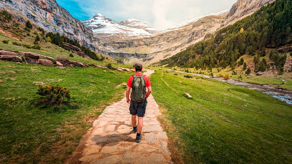 film, sinema, karakter, film