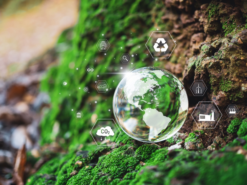 ekolojik, sertifika, üretim