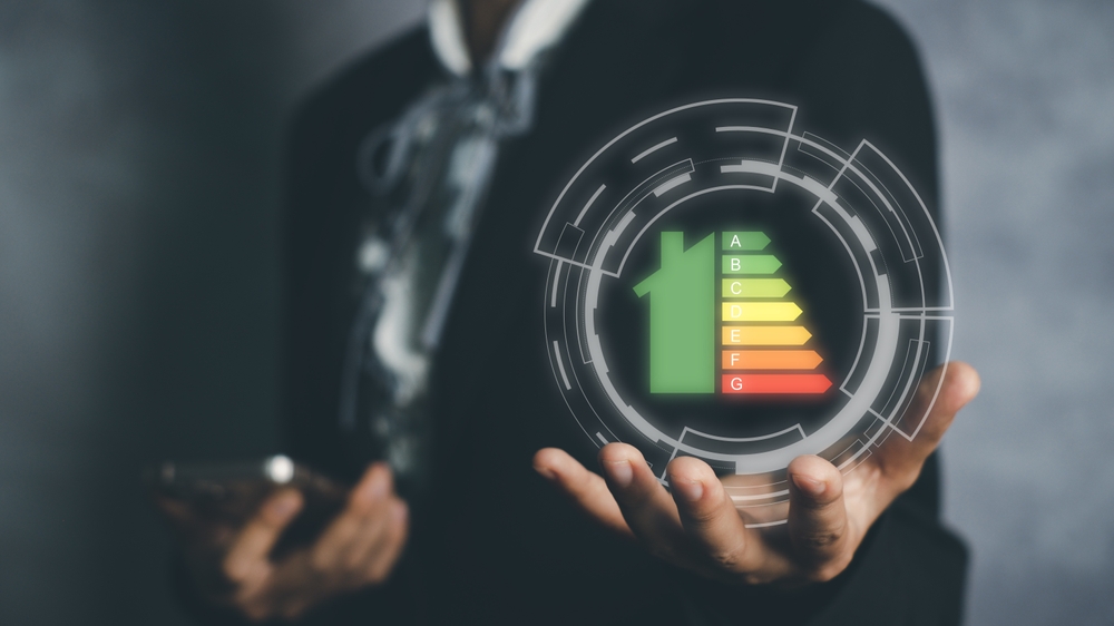 ekolojik, sertifika, üretim