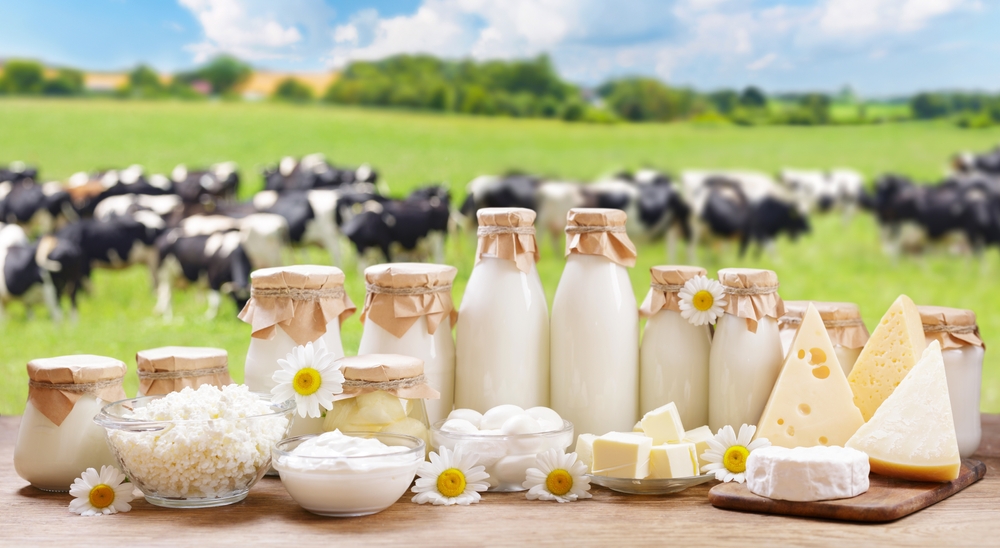 emzirme, bebek, anne, beslenme