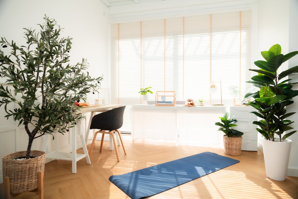 ev, dekorasyon, temizlik, hava, gzüellik, meditasyon, rahatlama