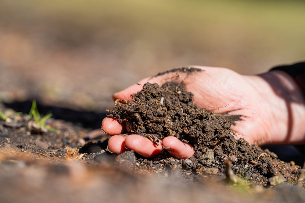 genetik, besin, beslenme, sağlık, GDO