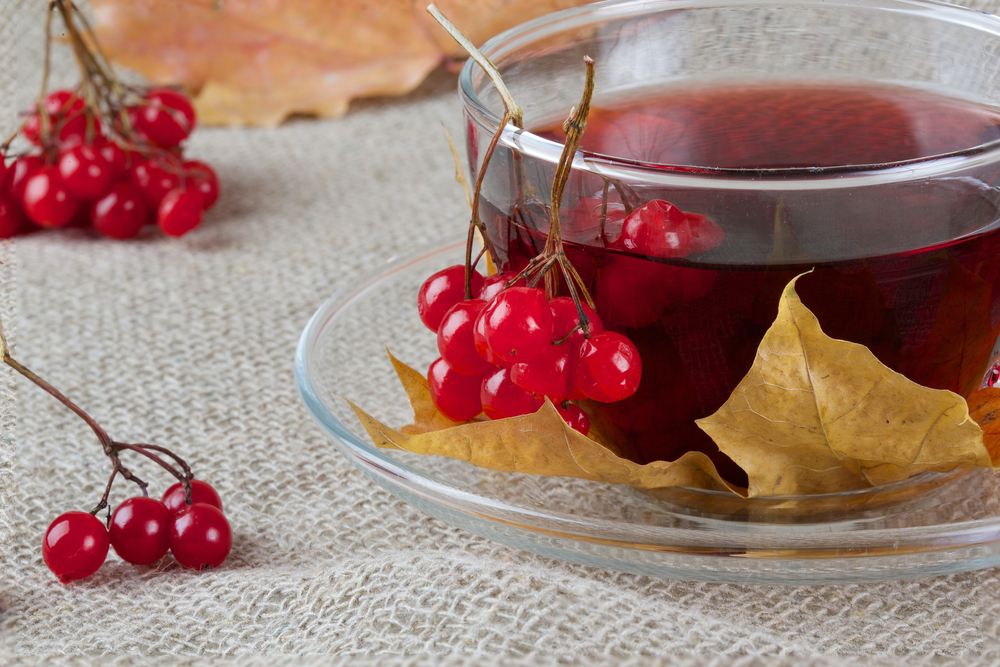 gilaburu, meyve, içecek, sağlık