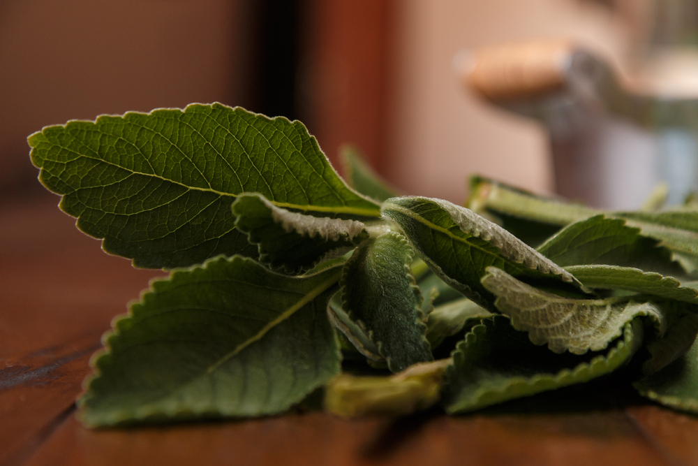 hepatit, karaciğer, besin, beslenme, sağlık