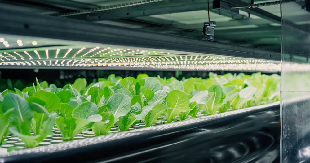 iç mekan, hava, hava, temizlik, ferah, sağlık