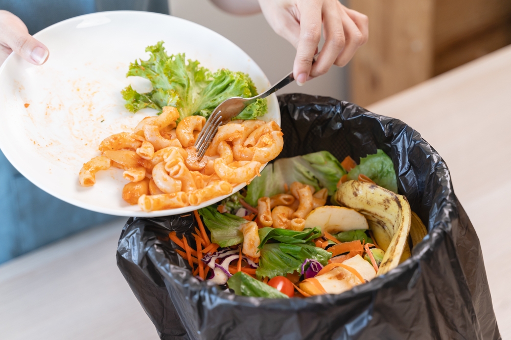 iklim, iklim değişikliği, gelecek, dünya, tasarruf