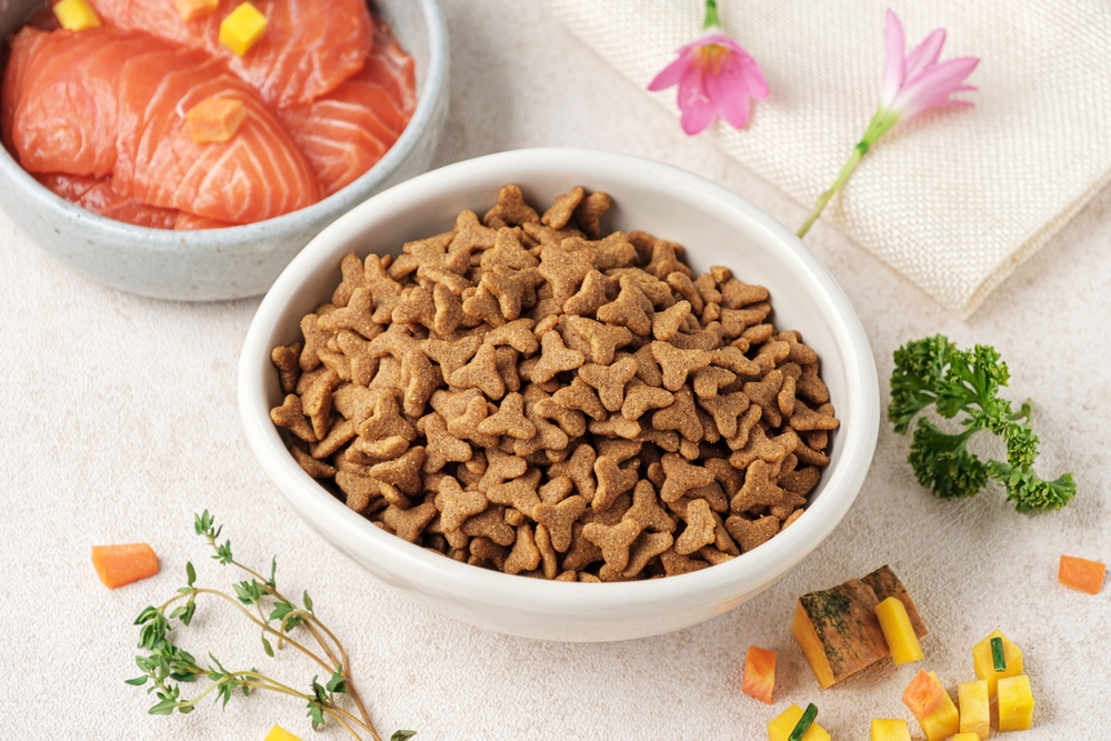 kedi, mama, besleme, pet, ev