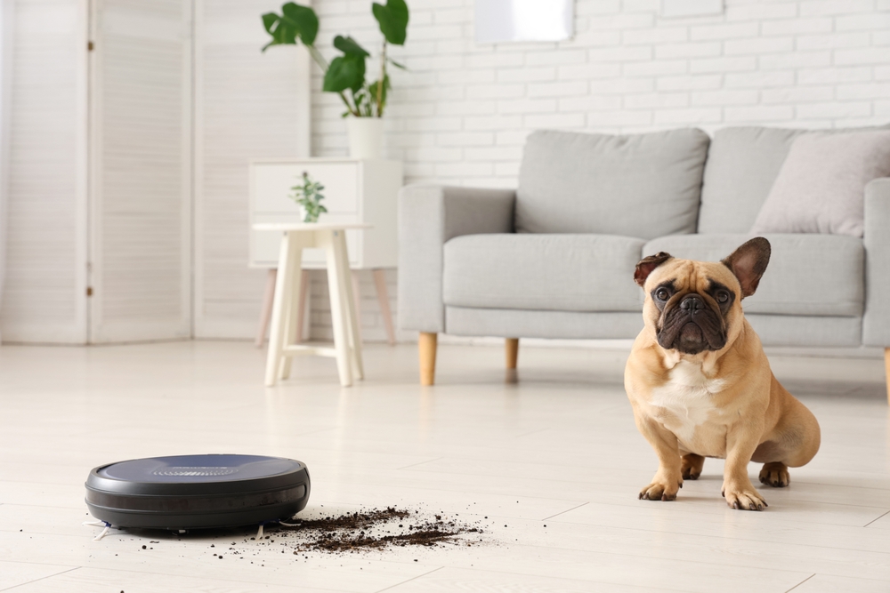 robot, süpürge, temizlik, teknoloji