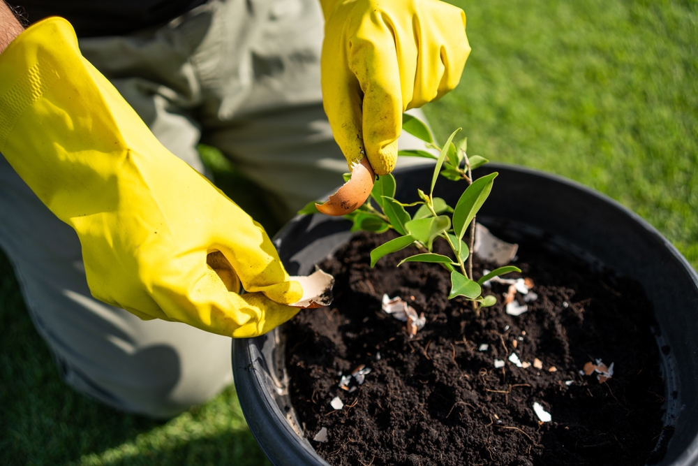 sıfır, atık, mutfak, ekoloji, gelecek, gezegen, sürdürülebilirlik