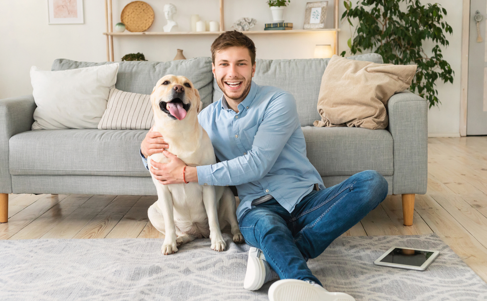 sokak, hayvan, sahiplenme, sevgi, canlı