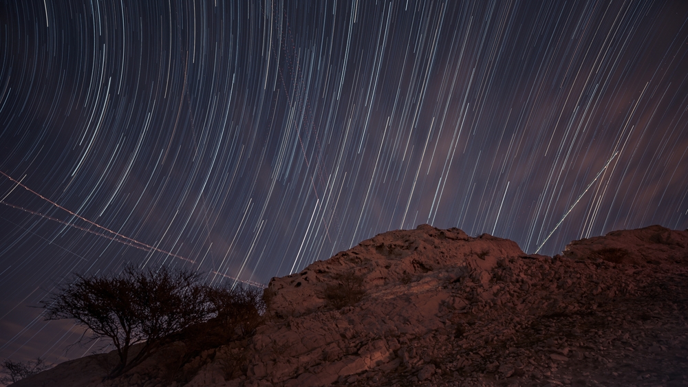 test, tuhaf, olay, dünya, tarih