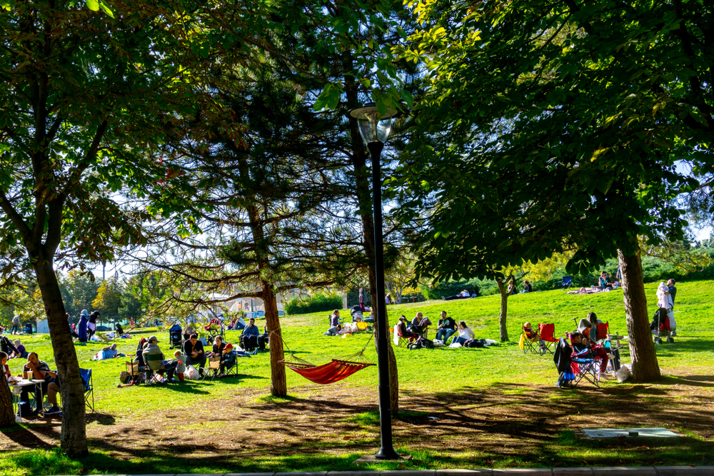 uçurtma, aile, çocuk, eğlence, açıkhava, aktivite