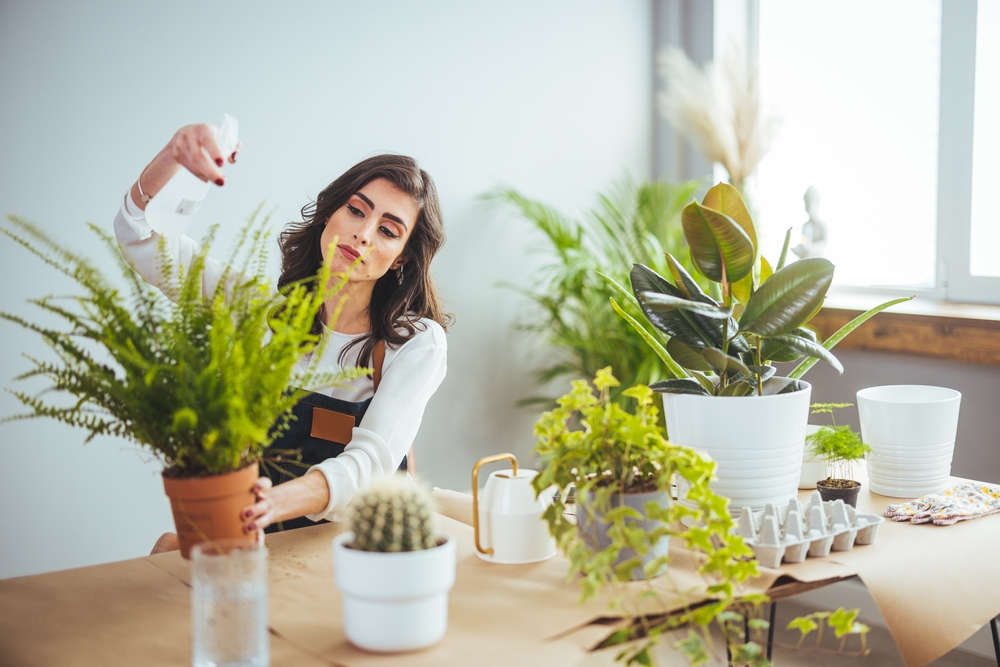 sabah, rutin, motivasyon, güne başlamak, gün, enerji