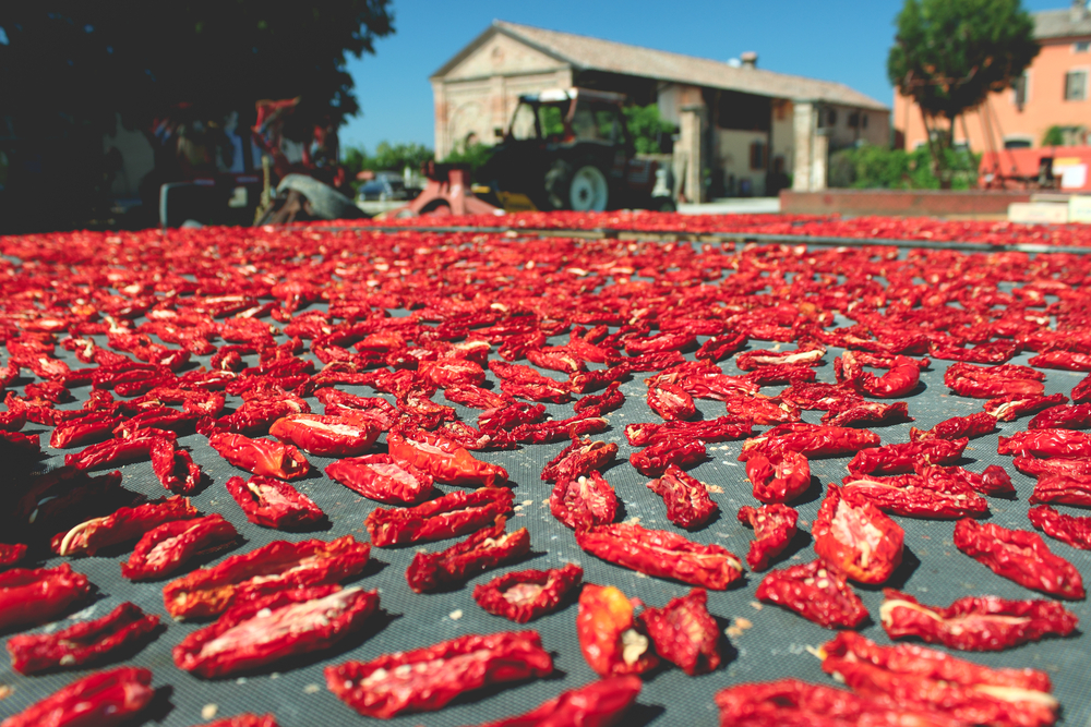 besin, koruma, taze, saklama, kurutma, güneş