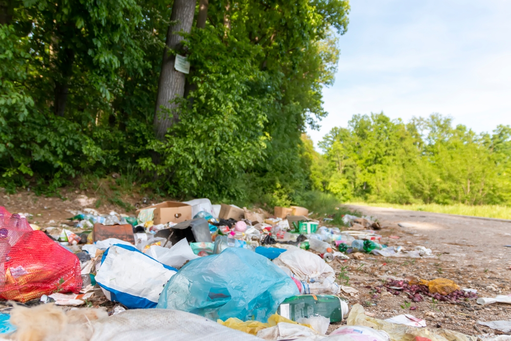 çevre, doğa, bireysel, kirlilik, iklim, kriz, temiz, orman