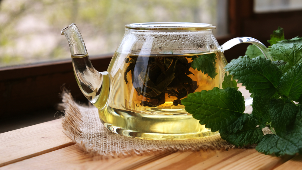 sağlık, bitki, çay, bitki çayı, melisa çayı