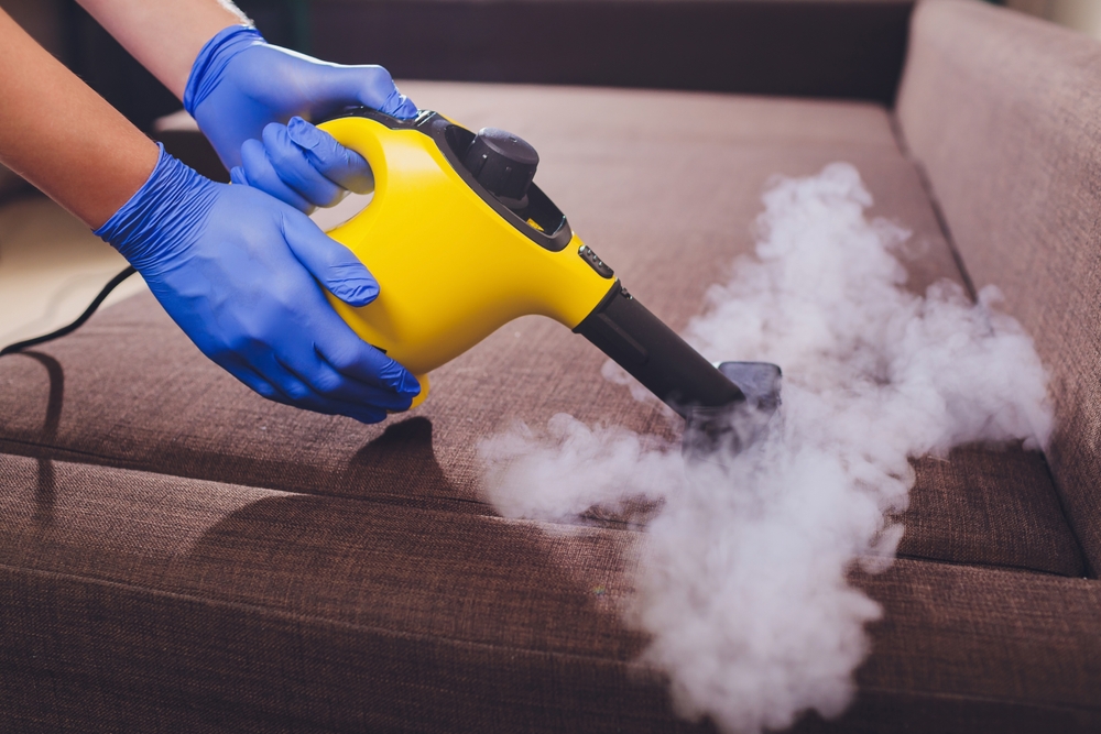 ev, temizlik, buhar, teknoloji