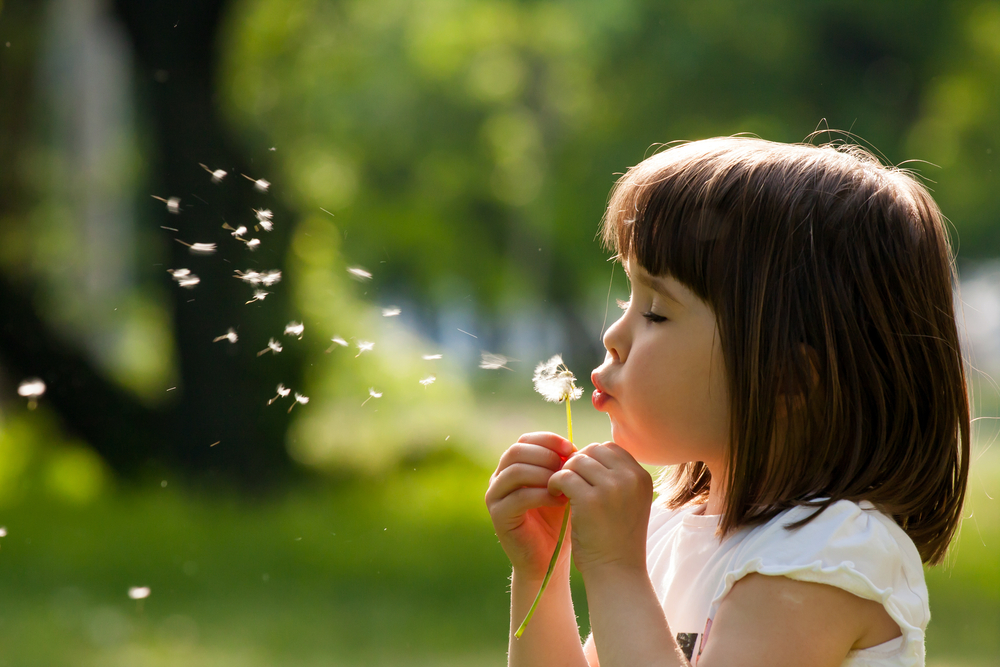 alerji, bahar, hastalık, polen, alerjen, çocuk