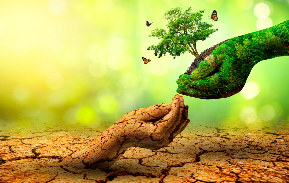 çöl, kuraklık, susuzluk, gelecek, doğa, çevre, iklim