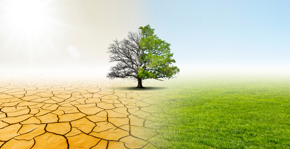 çöl, kuraklık, susuzluk, gelecek, doğa, çevre, iklim