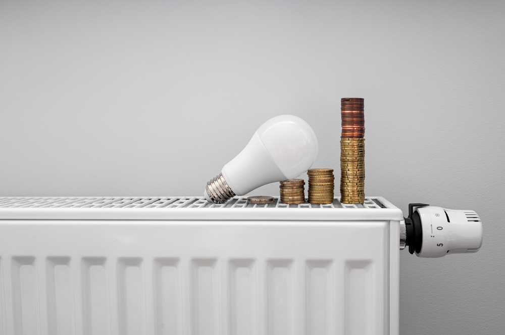 fatura, doğalgaz, elektrik, tasarruf