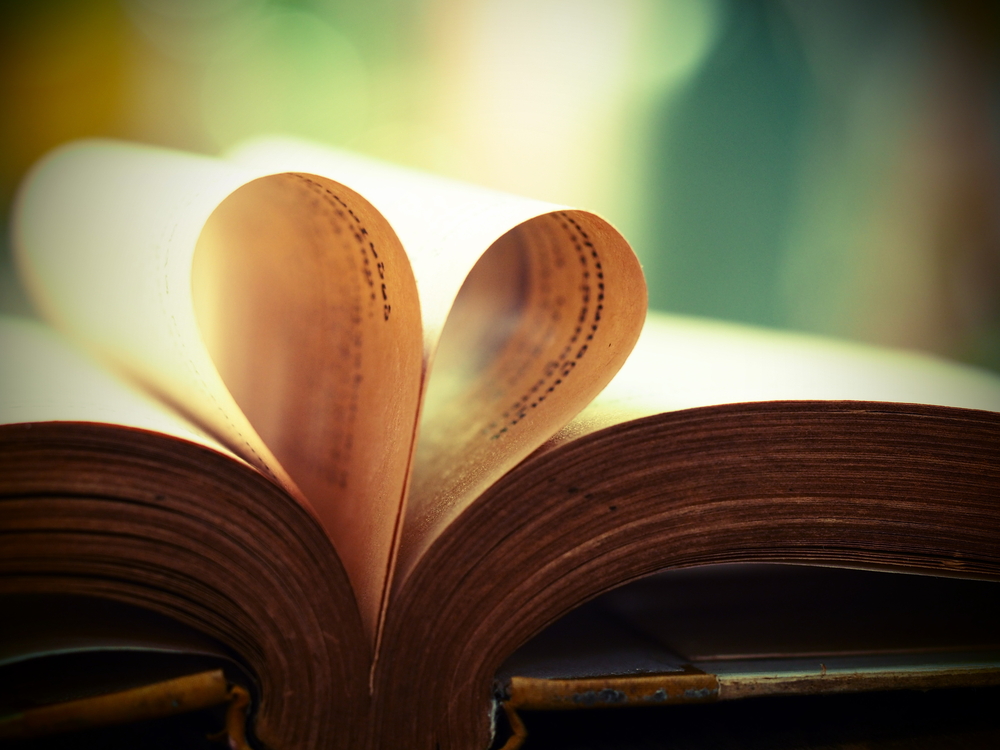 edebiyat, kitap, yazar