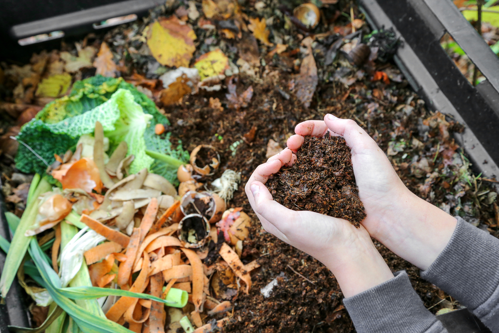 Kompost, gıda, geri dönüşüm, organik