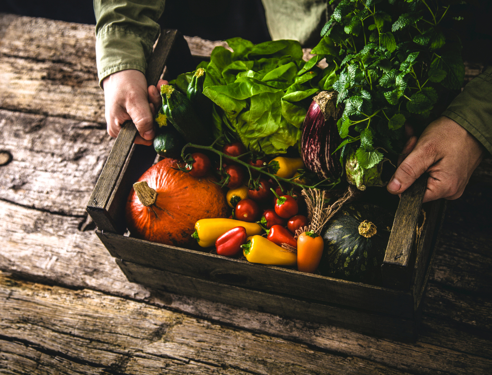 organik, besin, sağlık, yiyecek