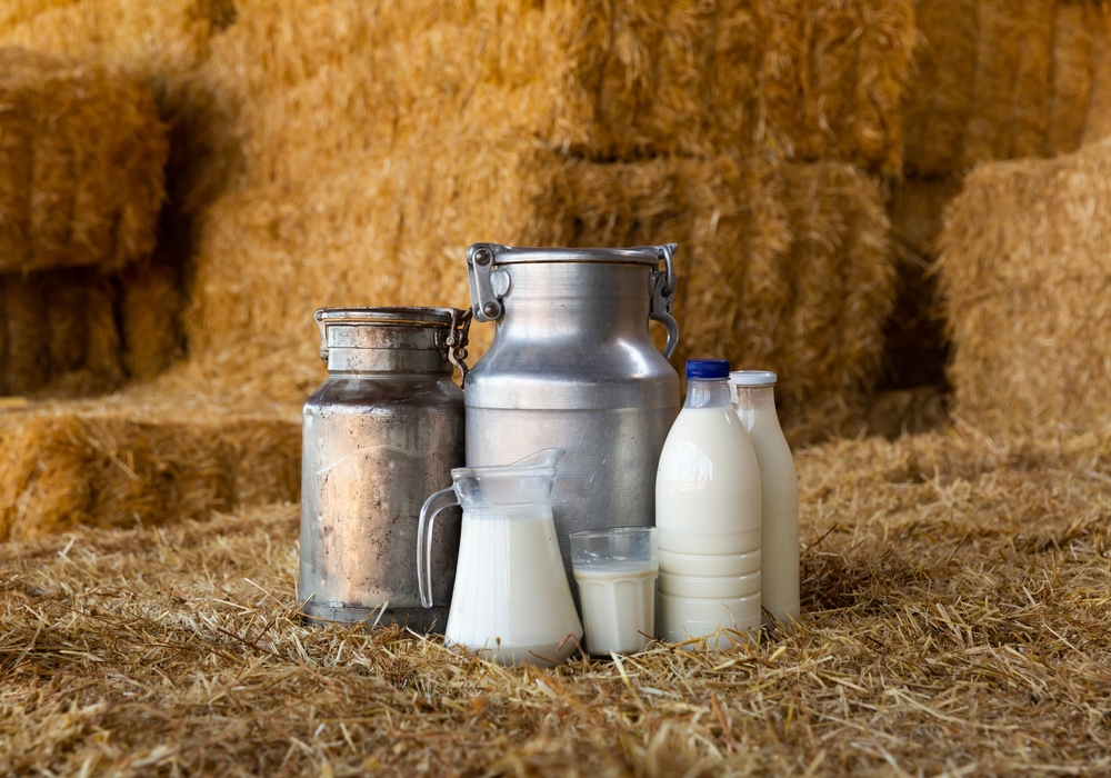 süt, organik, inek, sağlık, içecek