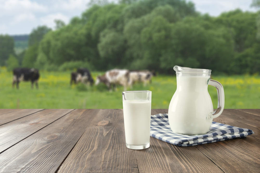 süt, organik, inek, sağlık, içecek