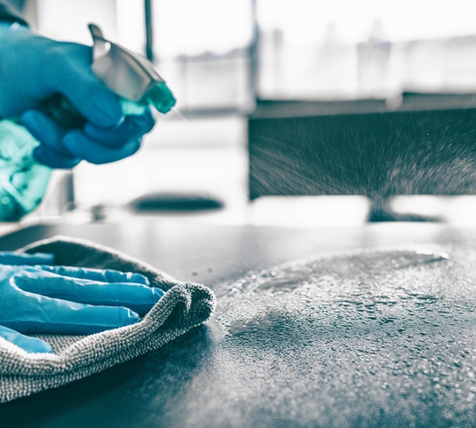 ev, temizlik, organik, madde, malzeme