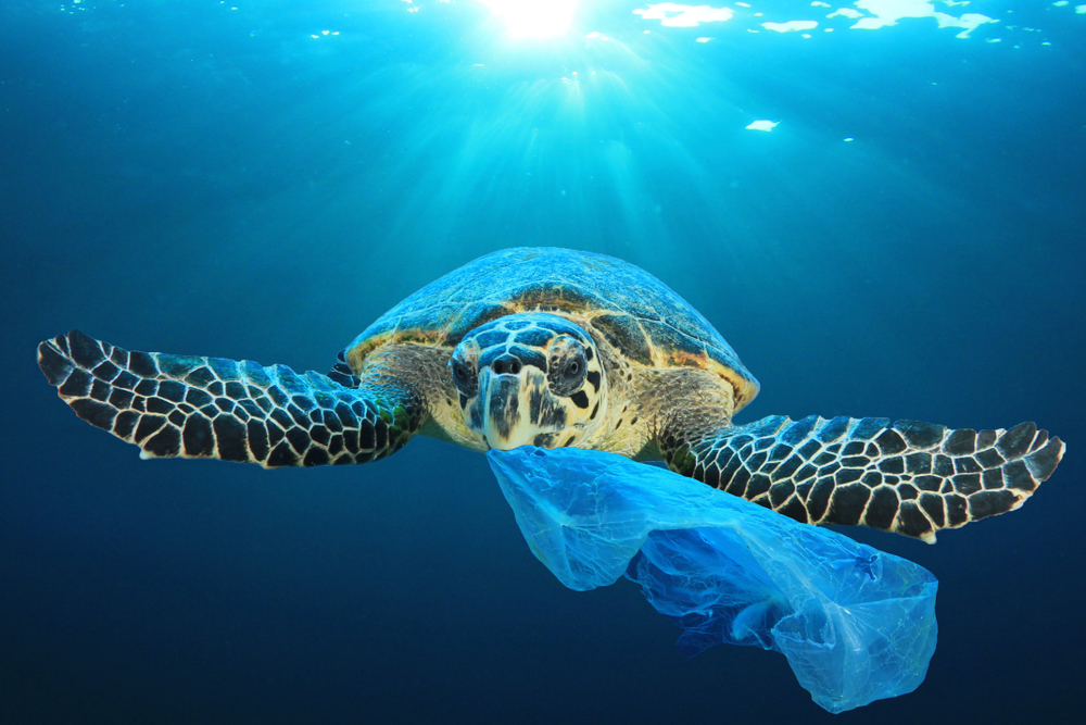plastik, çevre, doğa, gelecek, koruma
