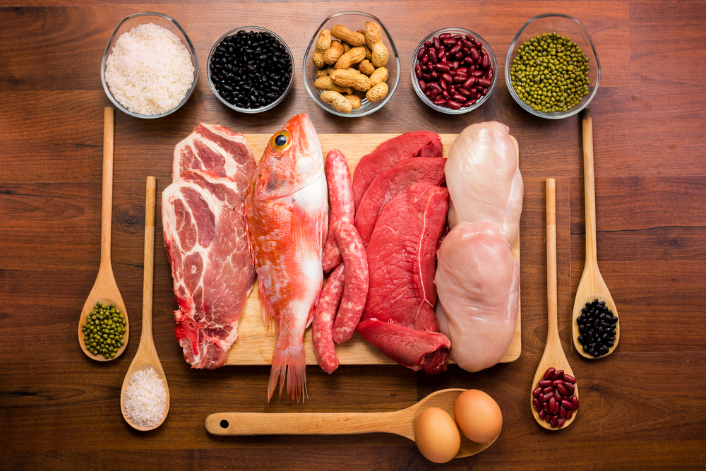 protein, protein tozu, sağlık, ek gıda, beslenme, besin, gıdalar