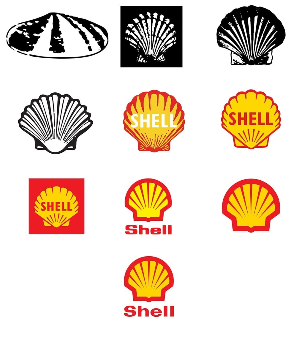 logo, marka, logotype, hikaye, tasarım, shell