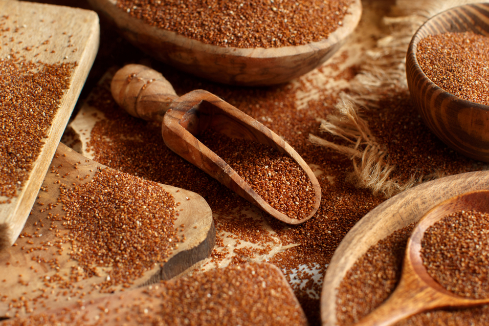 Teff, Tohum, sağlık, besin, beslenme