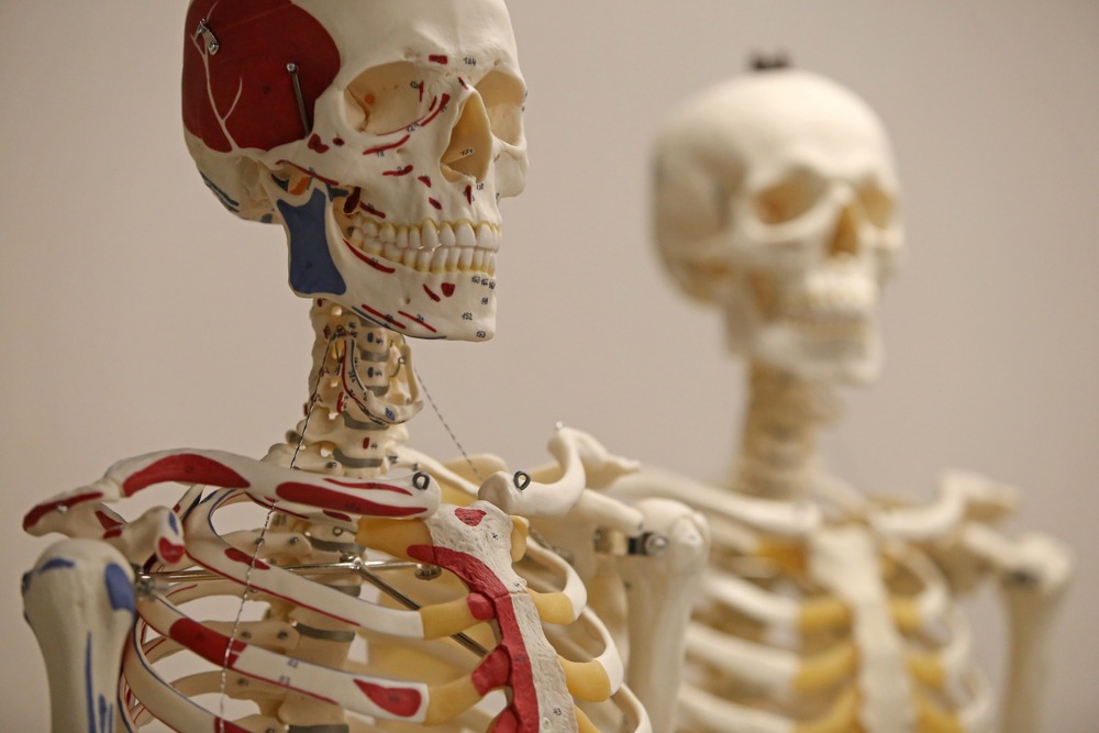 türk, türkiye, bilim, tarih, gelişme, icat, mucit, kaşif