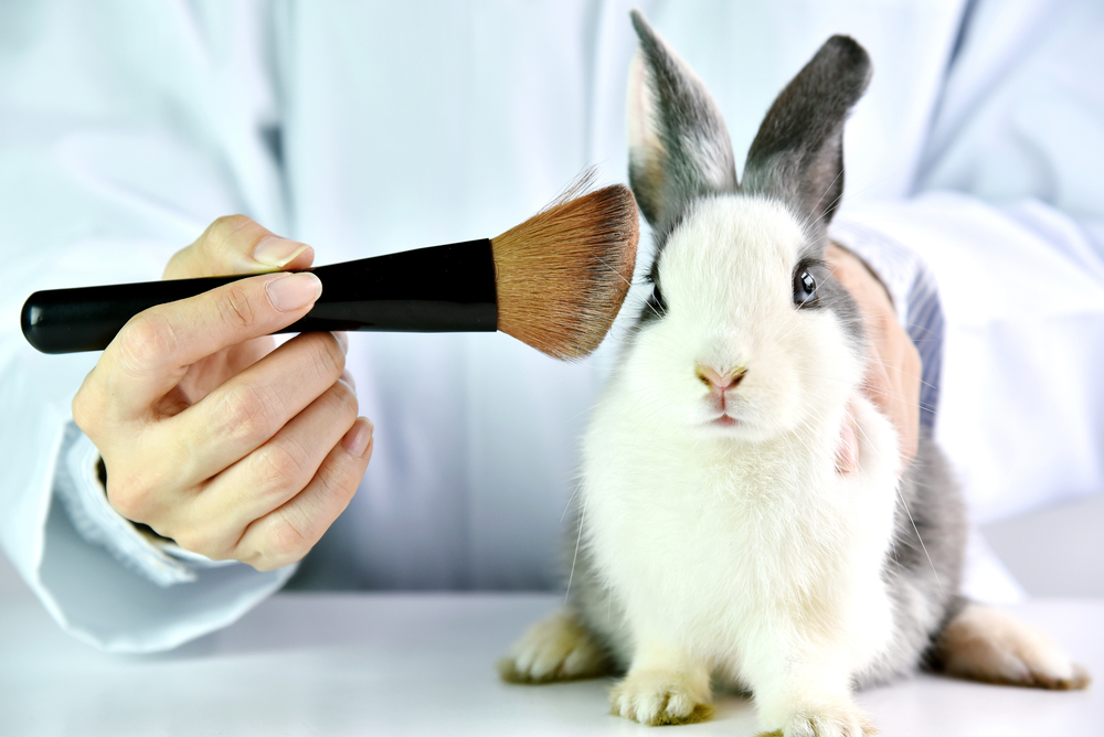 kozmetik, vegan, hayvan, deney, test, tavşan