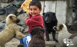 Bazen Bir Fotoğraf, Mutluluğun Ne Kadar Sade Olabileceğini Hatırlatır 