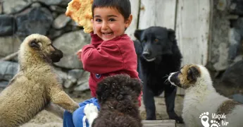 Bazen Bir Fotoğraf, Mutluluğun Ne Kadar Sade Olabileceğini Hatırlatır 