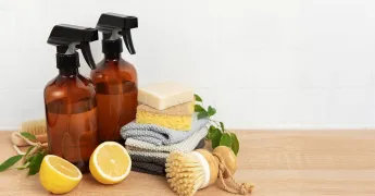 Zehirsiz Ev: Doğal Temizlik Malzemeleri ile Sağlıklı Yaşam