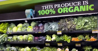 “Organik” Etiketi Hakkında Bilinmesi Gerekenler