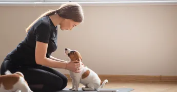 Tatlı Bir Trend: Puppy Yoga
