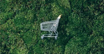 Net Sıfır Karbon Ne Demek, Nasıl Uygulanır, Nasıl Uygulanmalı?