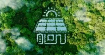 Evini Nasıl Daha Karbon Salınımsız Hale Getirebilirsin?