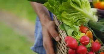 Organik Ürün Belgesi / Sertifikası Nasıl Alınır?