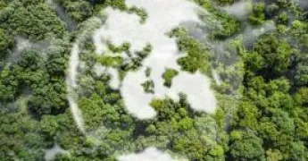 Sürdürülebilirlik İçin Sıfır Atık Nasıl Sağlanır