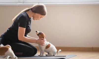 Tatlı Bir Trend: Puppy Yoga